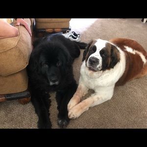 Meet your Posher, Tracy